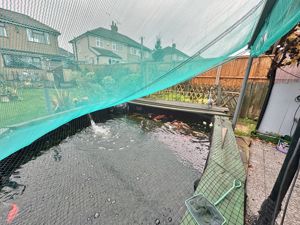 Photo 28- click for photo gallery